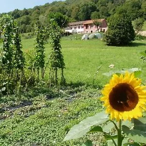 I Boschi Del Castagno Bed & Breakfast Triches